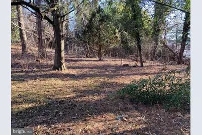 1620 Reisterstown Road, Pikesville, MD 21208 - Photo 4