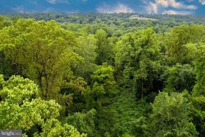 1310 Hollins Lane #LOT 1, Baltimore, MD 21209 - Photo 22