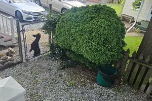 13816 Hanover Pike, Reisterstown, MD 21136 - Photo 36