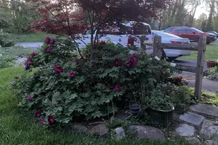 1111 Cummings Ave, Baltimore, MD 21228 - Photo 48