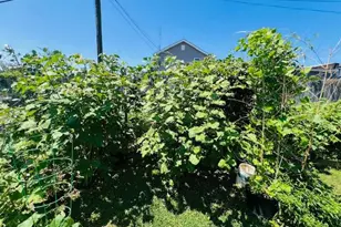 343 N Beaumont Ave, Baltimore, MD 21228 - Photo 40