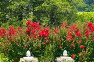 [Address not provided], Glyndon, MD 21071 - Photo 12