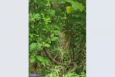 1218 Rayville Road, Parkton, MD 21120 - Photo 22