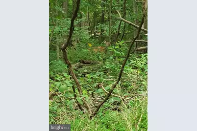 1218 Rayville Road, Parkton, MD 21120 - Photo 24