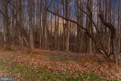 14490 Western Road, Sparks Glencoe, MD 21152 - Photo 22