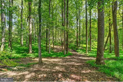 14490 Western Road, Sparks Glencoe, MD 21152 - Photo 6