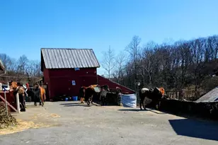 7613 Dogwood Rd, Windsor Mill, MD 21244 - Photo 6