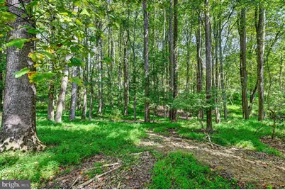 14490 Western Road #2, Sparks Glencoe, MD 21152 - Photo 10