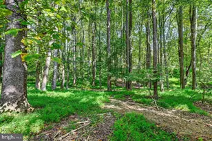 14490 Western Rd, Sparks Glencoe, MD 21152 - Photo 10