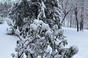 3633 Southside Ave, Phoenix, MD 21131 - Photo 64