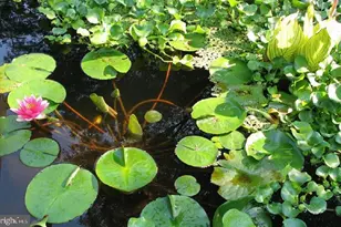 8 Over Ridge Ct, Baltimore, MD 21210 - Photo 12