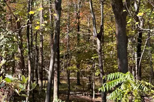 11214 Park Heights Ave, Owings Mills, MD 21117 - Photo 8