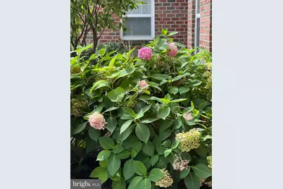 900 Red Brook Boulevard #101, Owings Mills, MD 21117 - Photo 12