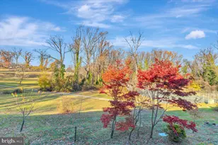 12 Stone Ridge Ct, Baltimore, MD 21239 - Photo 34