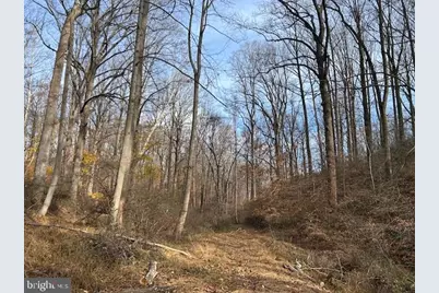 Cuba Road, Cockeysville, MD 21030 - Photo 10