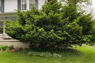 1516 Ridge Rd, Baltimore, MD 21228 - Photo 14