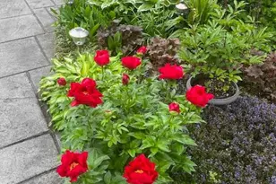 1516 Ridge Rd, Baltimore, MD 21228 - Photo 12