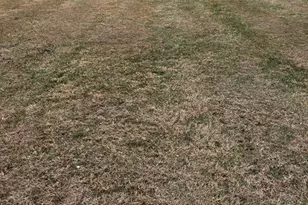 1516 Ridge Rd, Baltimore, MD 21228 - Photo 10