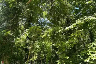 605 Upland Rd, Pikesville, MD 21208 - Photo 20