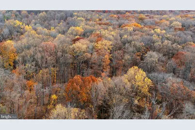 4224 Piney Grove Road, Glyndon, MD 21071 - Photo 14