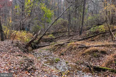 4224 Piney Grove Road, Glyndon, MD 21071 - Photo 20