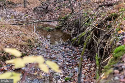 4224 Piney Grove Road, Glyndon, MD 21071 - Photo 16