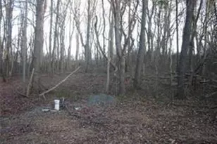 18707 Frederick Rd, Parkton, MD 21120 - Photo 8