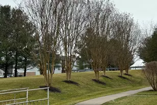 38 Jumpers Cir, Nottingham, MD 21236 - Photo 28