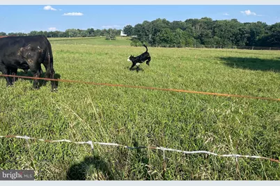 13 Farm Ridge Court, Baldwin, MD 21013 - Photo 58