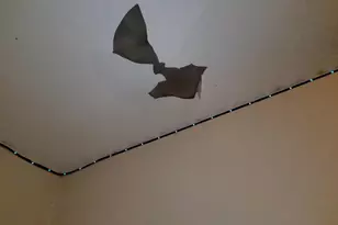 3508 Oak Ct, Baltimore, MD 21207 - Photo 10