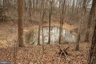 11112 Old Carriage Rd, Glen Arm, MD 21057 - Photo 80