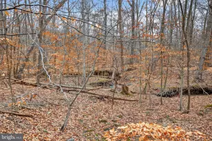 3 Ginford, Catonsville, MD 21228 - Photo 30