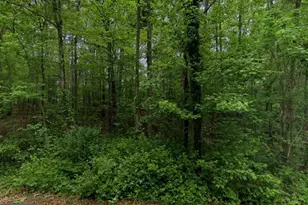 11126 Reynolds Rd, Kingsville, MD 21087 - Photo 1