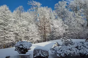 2312 Velvet Ridge Dr, Owings Mills, MD 21117 - Photo 56