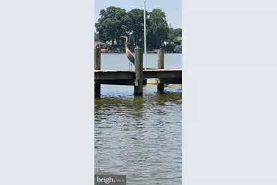 13202 Cherwin, Baltimore, MD 21220 - Photo 10