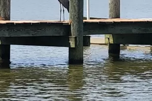 13202 Cherwin, Baltimore, MD 21220 - Photo 10