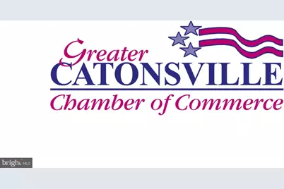 10 Ben Woods Court, Baltimore, MD 21228 - Photo 42