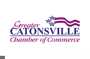 10 Ben Woods Ct, Baltimore, MD 21228 - Photo 42