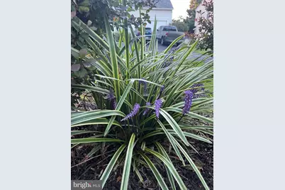 11400 Eunice Court, White Marsh, MD 21162 - Photo 36