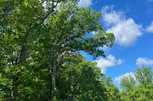 11400 Eunice Ct, White Marsh, MD 21162 - Photo 34