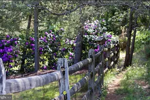 17417 Masemore Rd, Parkton, MD 21120 - Photo 8