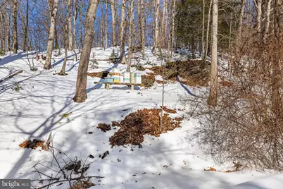 426 Bentley Road, Parkton, MD 21120 - Photo 54