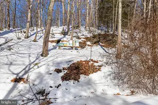 426 Bentley Rd, Parkton, MD 21120 - Photo 54