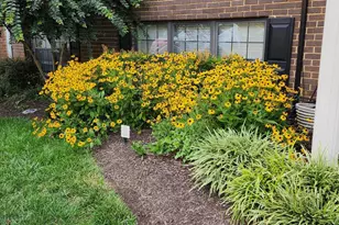 102 Swarthmore Dr, Towson, MD 21204 - Photo 32