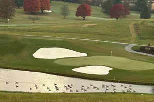 24 Thomas Shilling Ct, Upperco, MD 21155 - Photo 28