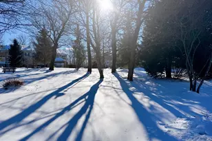 305 Wyndham Cir, Owings Mills, MD 21117 - Photo 26