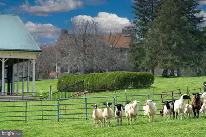 15314 Priceville Road, Sparks Glencoe, MD 21152 - Photo 6