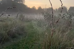 1730 Western Run Rd, Cockeysville, MD 21030 - Photo 26