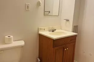 4 Thrush Ct, Lutherville Timonium, MD 21093 - Photo 38