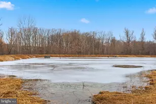 6312 Osterley St, Baltimore, MD 21220 - Photo 48